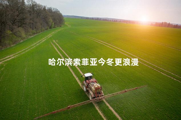 哈尔滨索菲亚今冬更浪漫