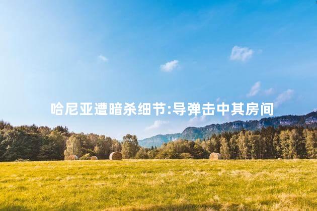 哈尼亚遭暗杀细节:导弹击中其房间