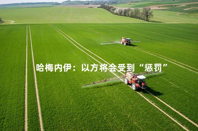 哈梅内伊：以方将会受到“惩罚”