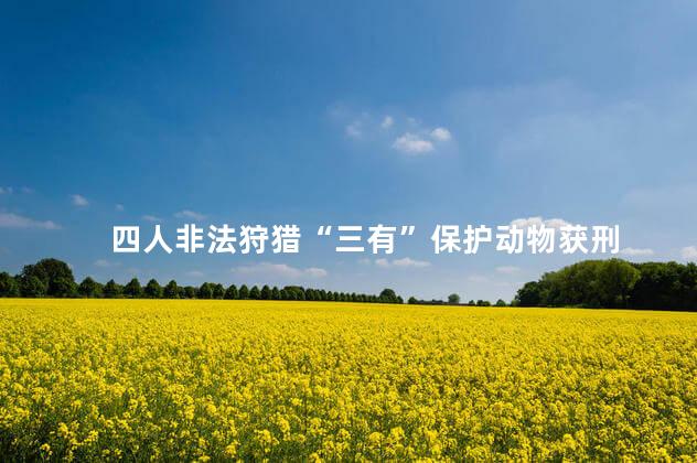 四人非法狩猎“三有”保护动物获刑