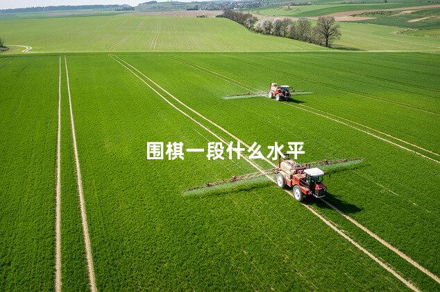 围棋一段什么水平