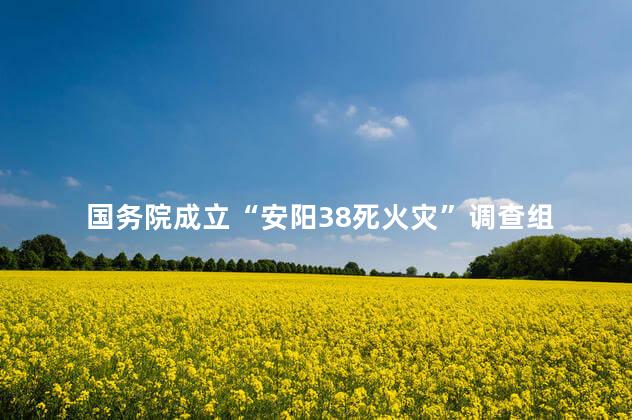 国务院成立“安阳38死火灾”调查组