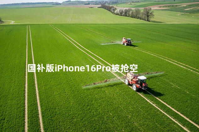 国补版iPhone16Pro被抢空