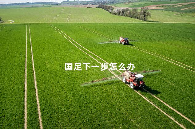 国足下一步怎么办