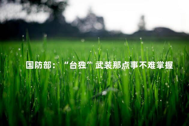 国防部：“台独”武装那点事不难掌握