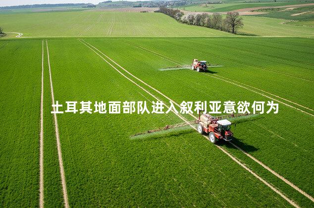 土耳其地面部队进入叙利亚意欲何为