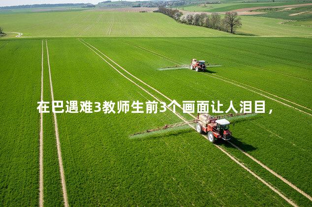 在巴遇难3教师生前3个画面让人泪目，对肇事者严惩不贷