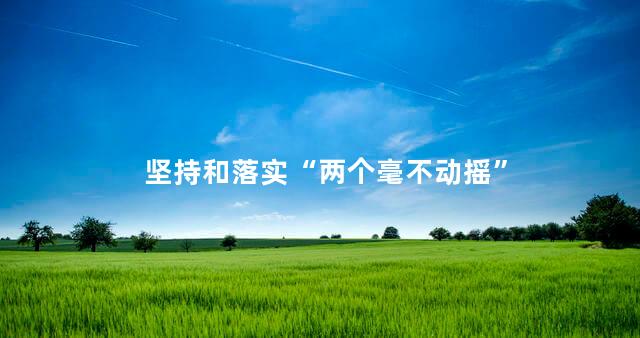 坚持和落实“两个毫不动摇”