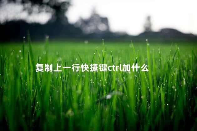 复制上一行快捷键ctrl加什么