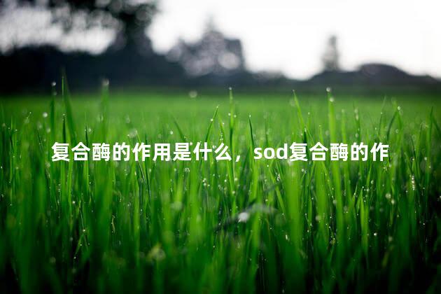 复合酶的作用是什么，sod复合酶的作用与功效