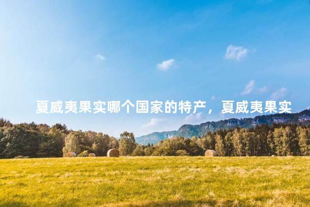 夏威夷果实哪个国家的特产，夏威夷果实哪个国家的特产最好