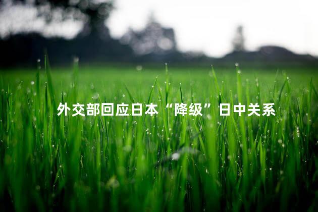 外交部回应日本“降级”日中关系