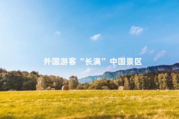 外国游客“长满”中国景区