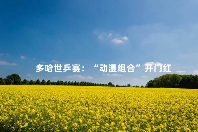 多哈世乒赛：“动漫组合”开门红