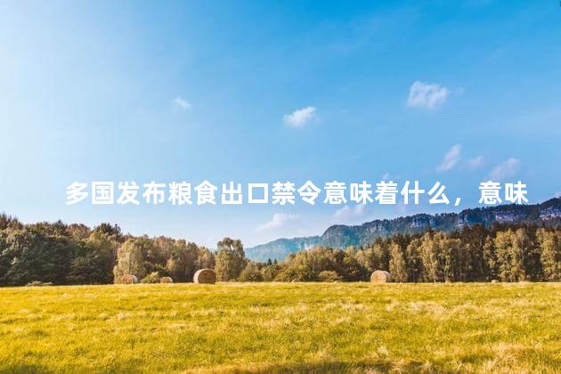 多国发布粮食出口禁令意味着什么，意味着我们要调整观念