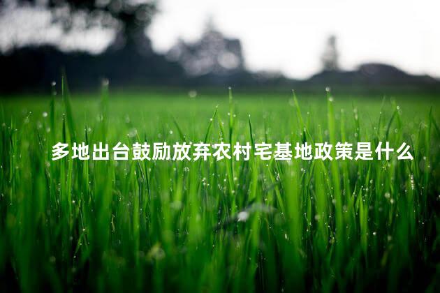 多地出台鼓励放弃农村宅基地政策是什么
