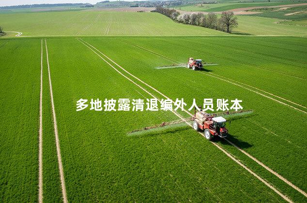 多地披露清退编外人员账本