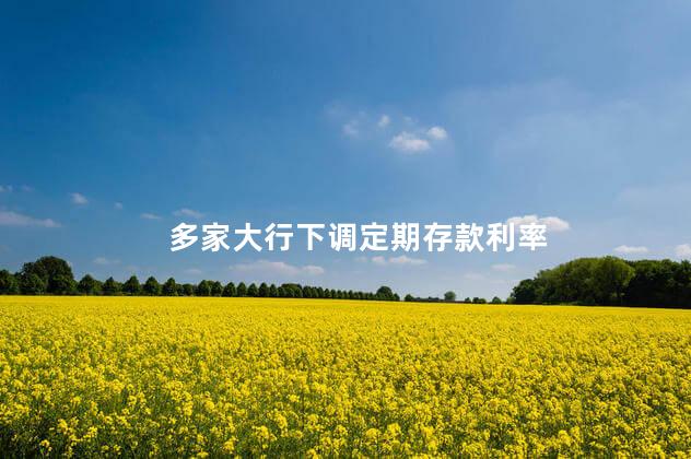 多家大行下调定期存款利率