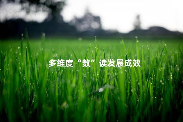 多维度“数”读发展成效