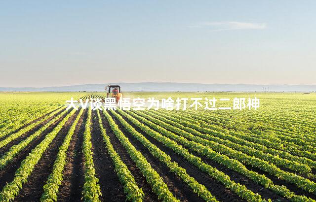 大V谈黑悟空为啥打不过二郎神