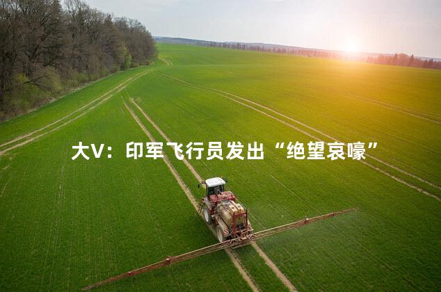 大V：印军飞行员发出“绝望哀嚎”