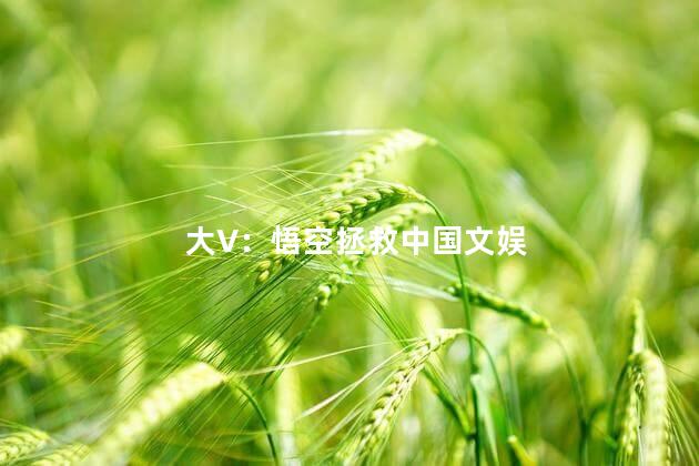 大V：悟空拯救中国文娱