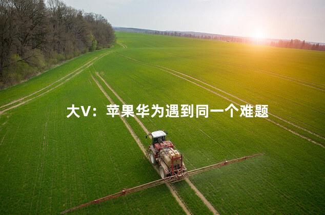 大V：苹果华为遇到同一个难题