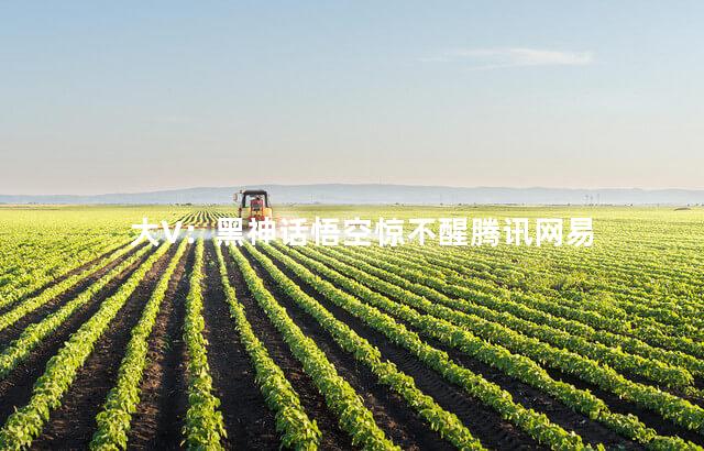 大V：黑神话悟空惊不醒腾讯网易