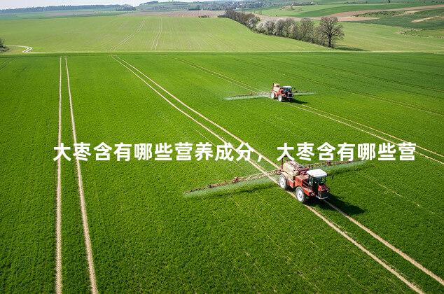 大枣含有哪些营养成分，大枣含有哪些营养成分和功效