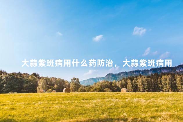 大蒜紫斑病用什么药防治，大蒜紫斑病用什么药最好