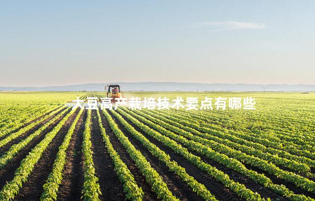 大豆高产栽培技术要点有哪些