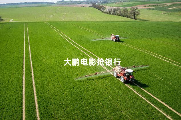 大鹏电影抢银行