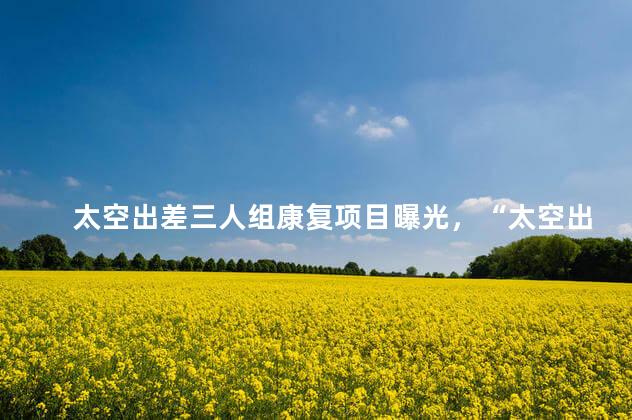 太空出差三人组康复项目曝光，“太空出差三人组”在轨60天