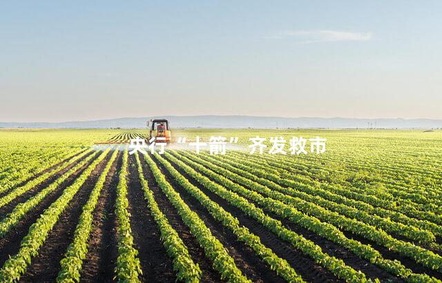 央行“十箭”齐发救市