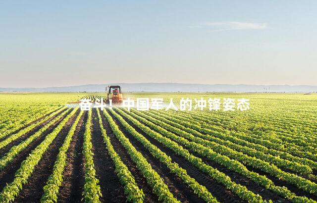 奋斗！中国军人的冲锋姿态