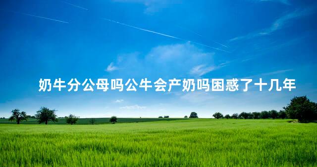 奶牛分公母吗公牛会产奶吗困惑了十几年的问题，奶牛分公母吗