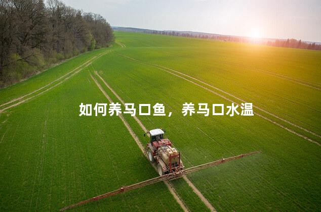 如何养马口鱼，养马口水温