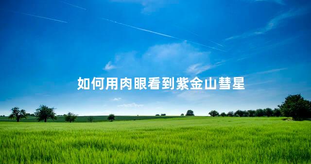 如何用肉眼看到紫金山彗星