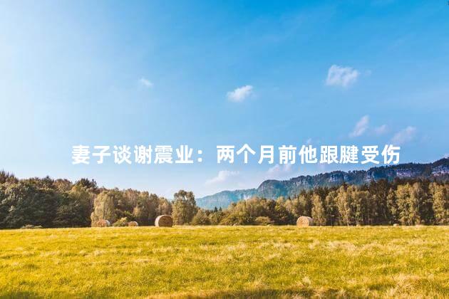 妻子谈谢震业：两个月前他跟腱受伤