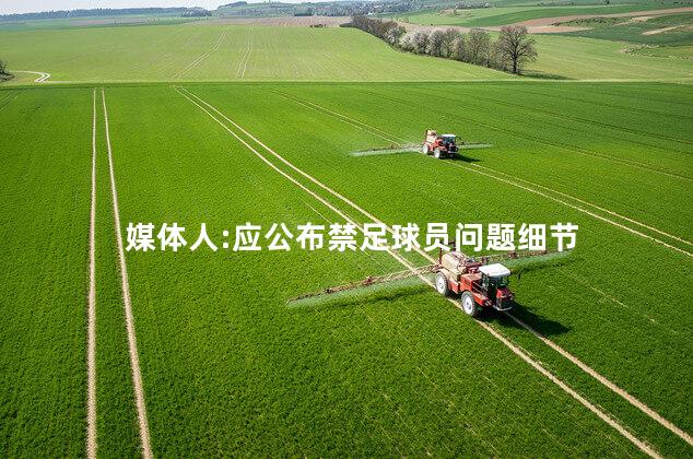 媒体人:应公布禁足球员问题细节