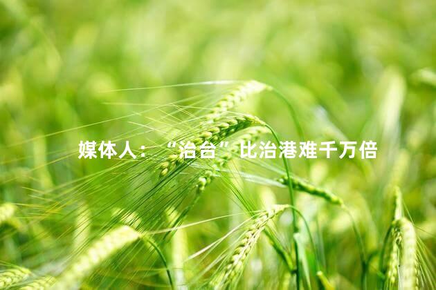 媒体人：“治台”比治港难千万倍