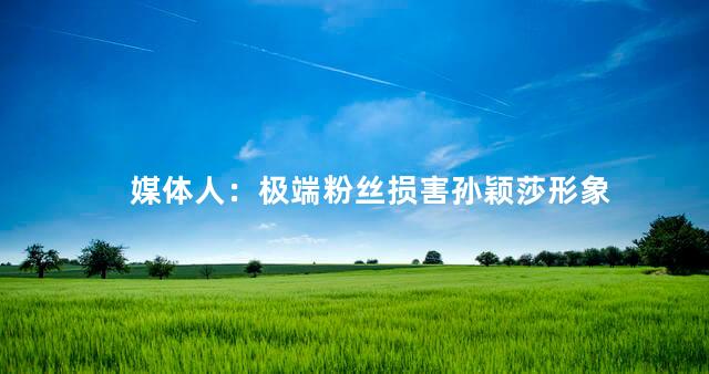 媒体人：极端粉丝损害孙颖莎形象