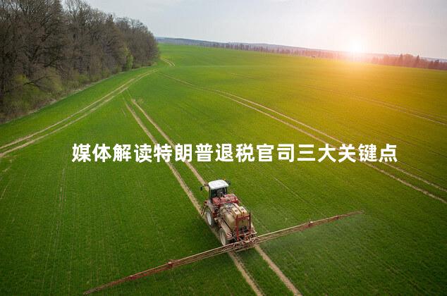 媒体解读特朗普退税官司三大关键点