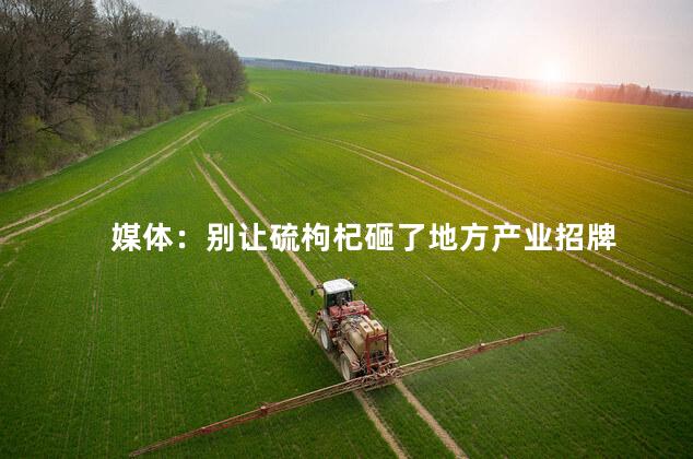 媒体：别让硫枸杞砸了地方产业招牌