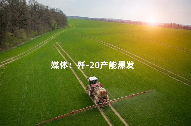 媒体：歼-20产能爆发