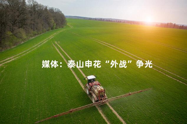 媒体：泰山申花“外战”争光