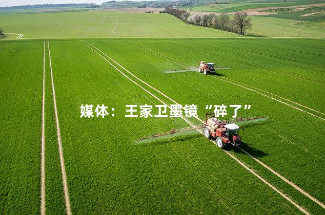 媒体：王家卫墨镜“碎了”