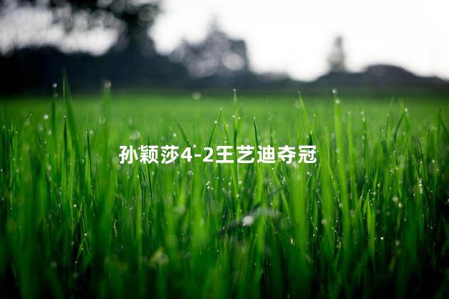 孙颖莎4-2王艺迪夺冠