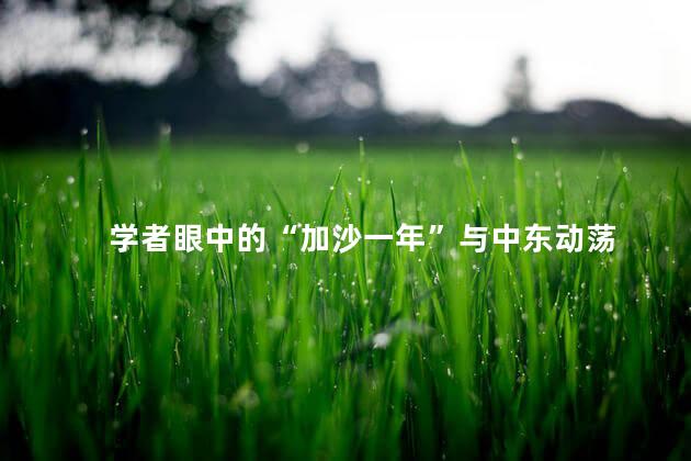 学者眼中的“加沙一年”与中东动荡