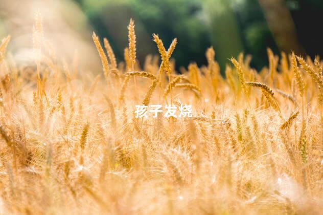 孩子发烧